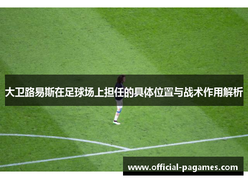 大卫路易斯在足球场上担任的具体位置与战术作用解析
