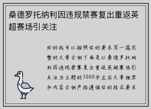 桑德罗托纳利因违规禁赛复出重返英超赛场引关注